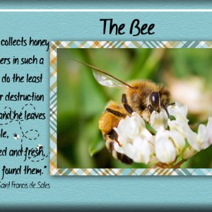 The Bee