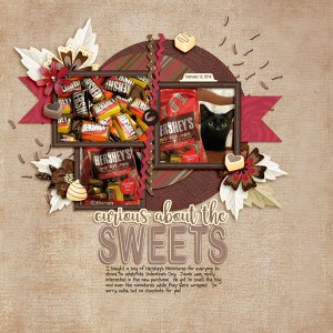 Curious About the Sweets