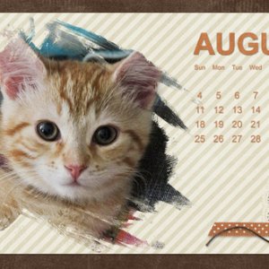 July 2019 Desktop Challenge