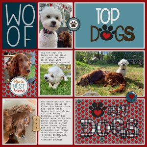 Top Dogs