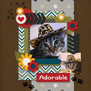 Purrrtty Kitty!