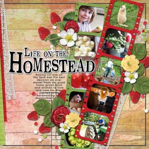 Life on the Homestead