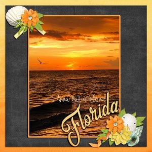 Anna Maria Island