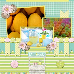 Lemonade Stand