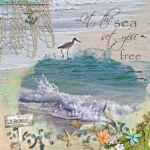 Let the sea set you free