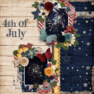 4th of July 2014