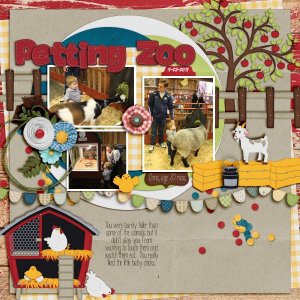 Petting Zoo at the Fair 2017