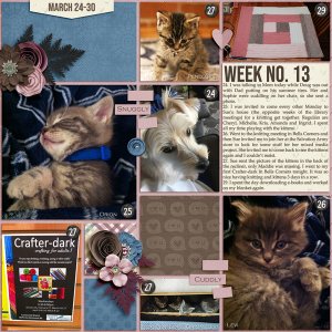July 2019 Pocket Scrapping Challenge
