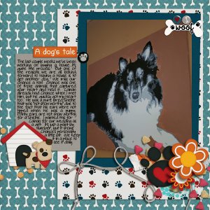 DTRD_RMVol16-paws-ivitely-dog