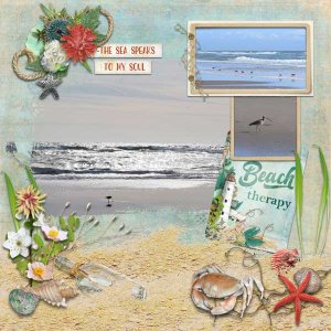 BeachDay