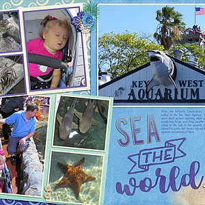 Sea the World