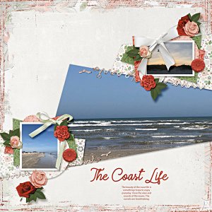The Coast Life