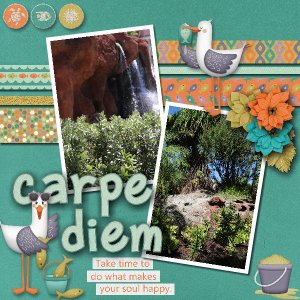 Carpe Diem