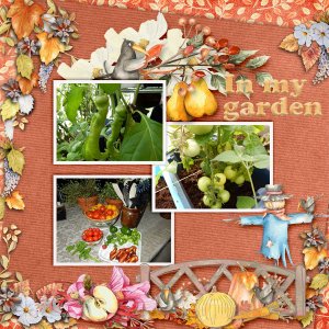 In-my-garden4