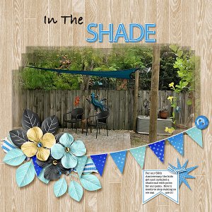 In The Shade