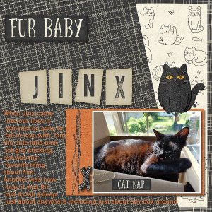 Fur Baby Jinx