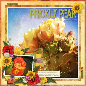 PRICKLY PEAR - DESERT GOLD