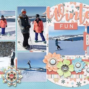 Winter Fun