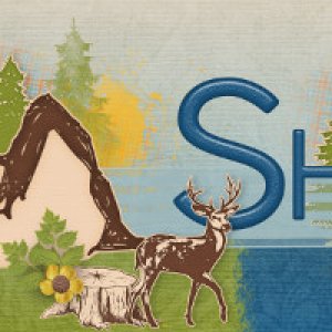 July 2019 Siggy
