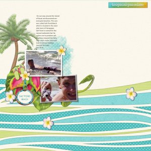 SALT POND BEACH