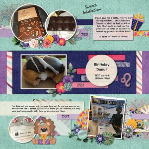2018 Birthday Presents Page 2