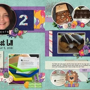 2018 Birthday Presents