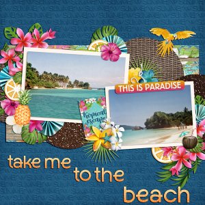 take me to the beach