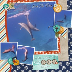 Red Sea Wonders