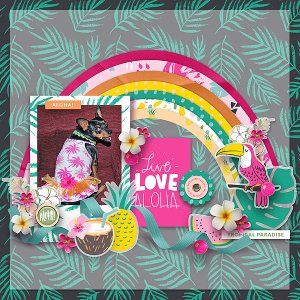 Live Love Aloha