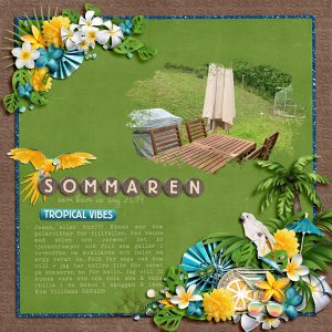 The summer that came to a halt