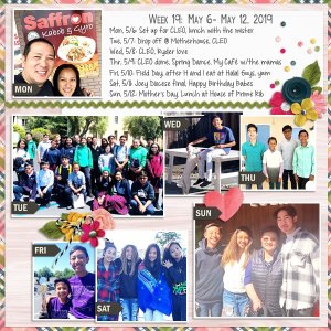 Week 19 {2019}
