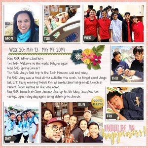 Week 20 {2019}