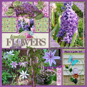Summer Flowers