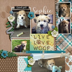 Dagilicious - Project 2019 Ruff Life
