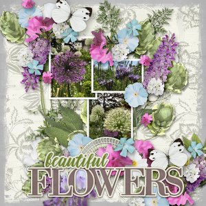 Beautiful Flowers