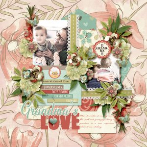 Grandma s Love