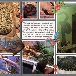 Reptiles