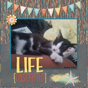 Rue Kitty Unscripted
