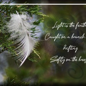 ATC 2019-089 A Feather Haiku