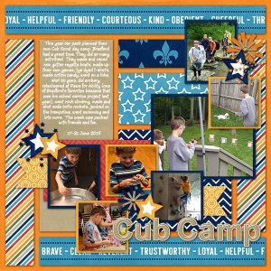 Cub Camp