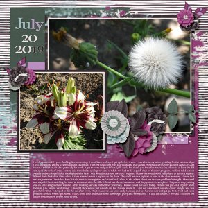 7-July_20_2019_small