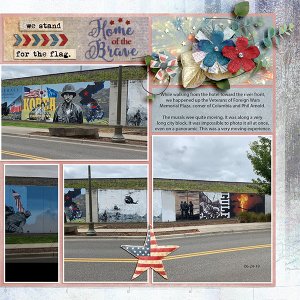 VFW Memorial Park R