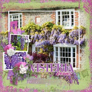 Wisteria Dreams