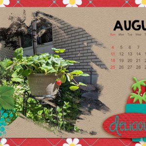 July desktop