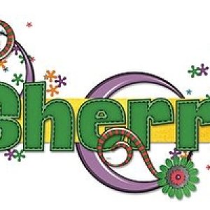 Sherri Siggy UFO Day