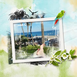 beach view