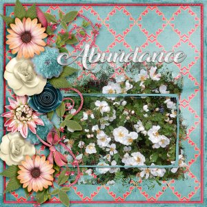 Abundance1