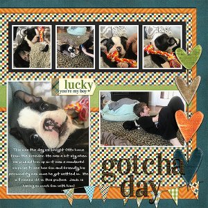 Gotcha Day