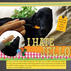 2019-07-Dandelion_Dust_Designs_Storytelling_Challenge