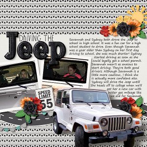 Driving The Jeep
